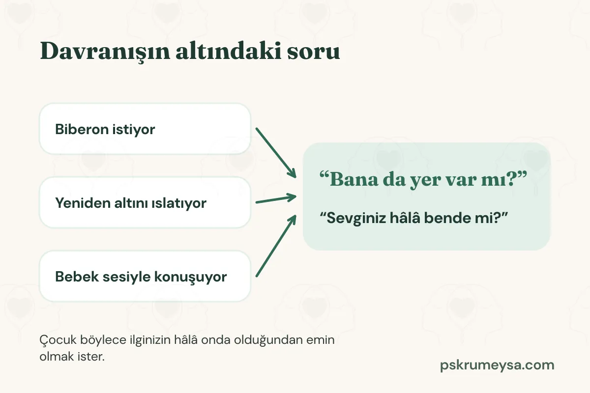 Davranışın altındaki soru başlıklı infografik. Solda üç davranış kartı var: biberon istiyor, yeniden altını ıslatıyor, bebek sesiyle konuşuyor. Her birinden çıkan oklar aynı yeşil kartta birleşiyor: Bana da yer var mı? Sevginiz hâlâ bende mi? Altta: Çocuk böylece ilginizin hâlâ onda olduğundan emin olmak ister.