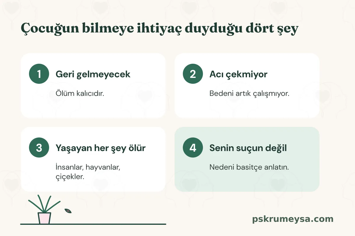 Dört kartlık infografik: 1 Geri gelmeyecek, ölüm kalıcıdır; 2 Acı çekmiyor, bedeni artık çalışmıyor; 3 Yaşayan her şey ölür; 4 Senin suçun değil, nedeni basitçe anlatın.